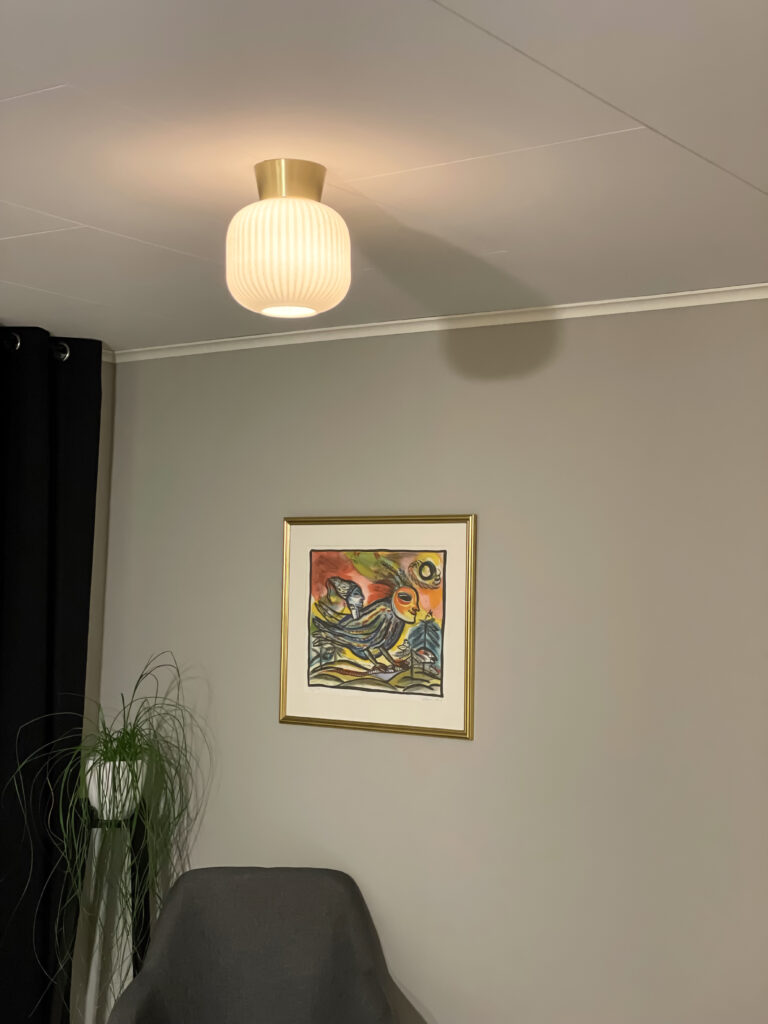 VANJA ceiling lamp &Oslash;20 cm