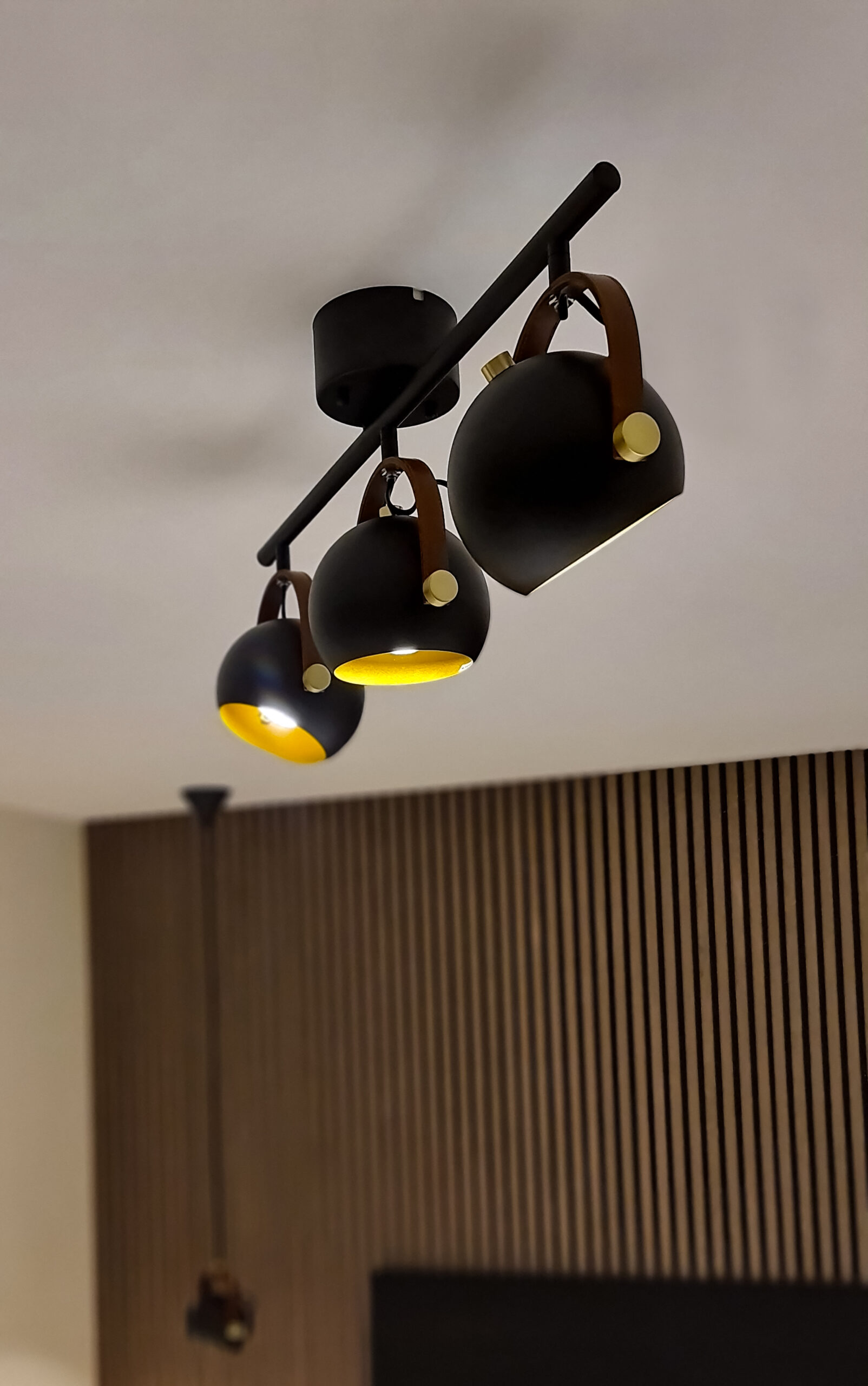 BOW ceiling spotlight - Image 3