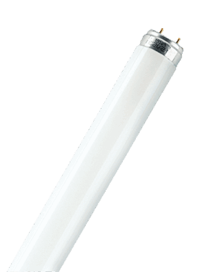 TUBULAR FLUORESCENT LAMPS T8 - Image 2