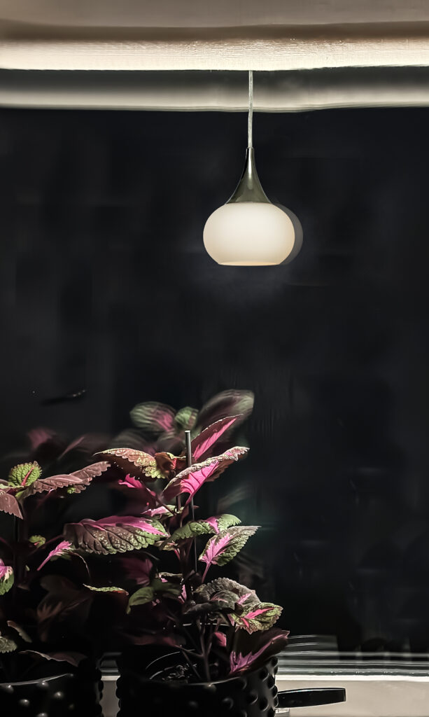 GLOBUS window pendant