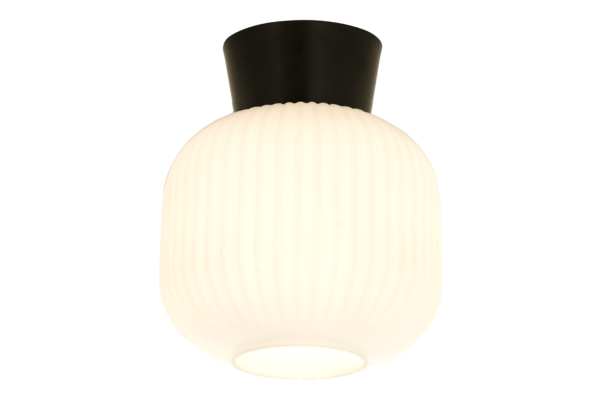 VANJA ceiling lamp Ø20 cm