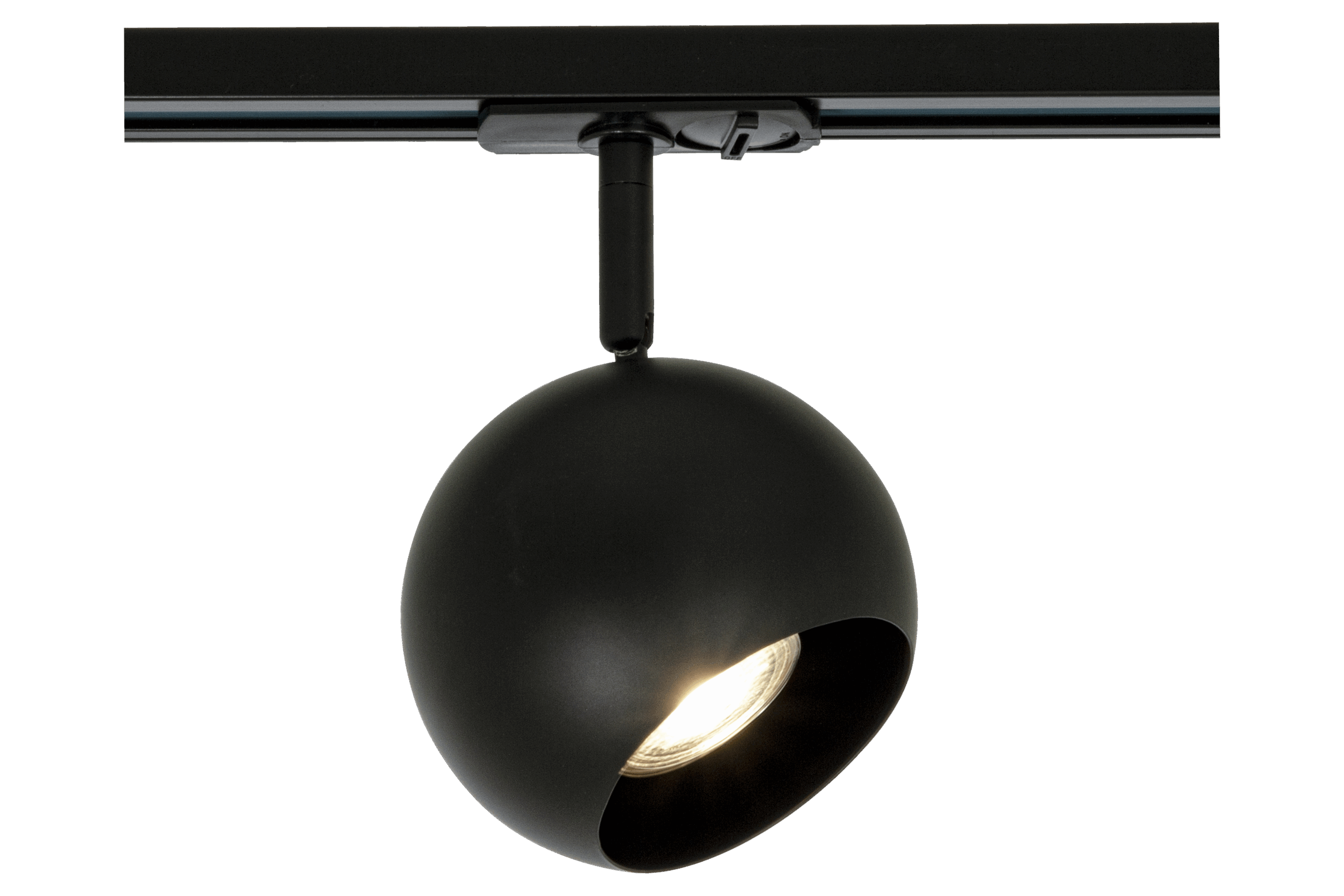 TRACKLINE BALL spotlight