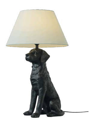 RETRIVER table lamp
