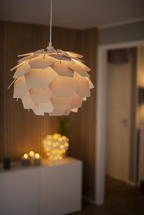 CARPATICA taklampa &Oslash;40