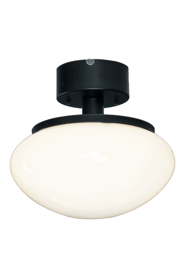 NEW AUGUST plafond