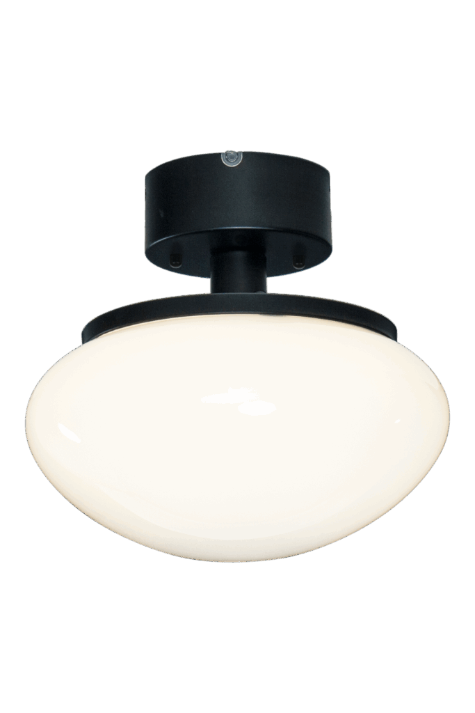NEW AUGUST plafond