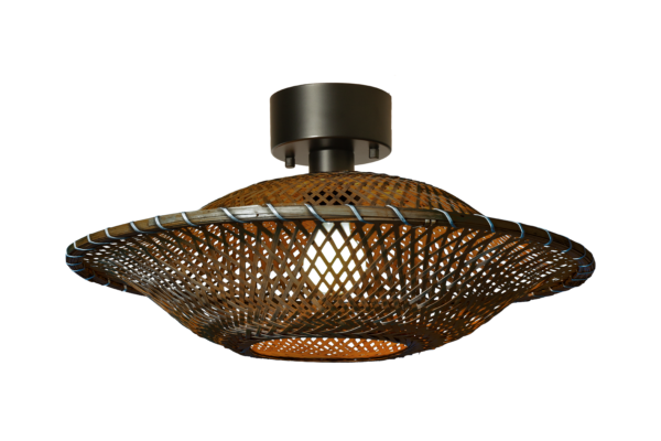 FIJI plafond