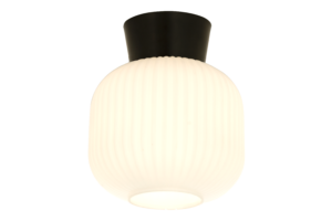 VANJA plafond Ø20 cm